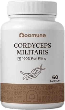 Oomune · Cordyceps Militaris (white)